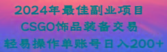 2024年最佳副业项目 CSGO饰品装备交易 轻易操作单账号日入200+-冒泡网