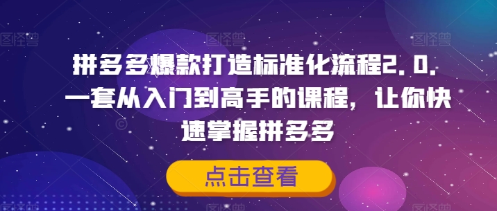 拼多多爆款打造标准化流程2.0，一套从入门到高手的课程，让你快速掌握拼多多-冒泡网