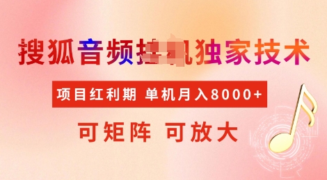 全网首发搜狐音频挂JI独家技术，项目红利期，可矩阵可放大，稳定月入8k【揭秘】-冒泡网