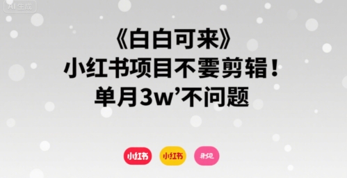 小白可来 小红书项目不需要剪辑 单月3w不是问题-冒泡网