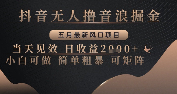 抖音无人撸音浪掘金，五月最新风口项目，当天见效，日收益多张，小白可做简单粗暴可矩阵【揭秘】-冒泡网