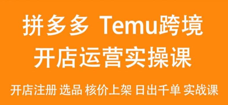2024Temu最新玩法，Temu跨境开店运营实操课，开店注册/选品/核价上架/日出千单实战课-冒泡网