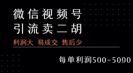 视频号卖二胡教程，利润大 易成交 售后少，一单利润5张+-冒泡网