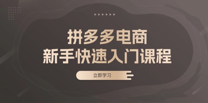 拼多多电商新手快速入门课程：涵盖基础、实战与选款，助力小白轻松上手-冒泡网