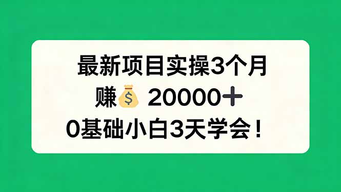 最新项目实操3个月，赚钱20000+，0基础小白3天学会！-冒泡网