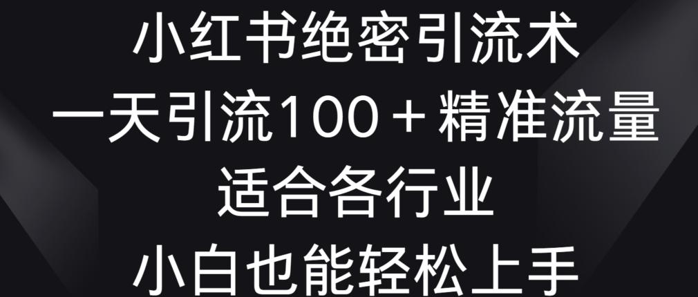 小红书绝密引流术，一天引流100+精准流量，适合各个行业，小白也能轻松上手【揭秘】-冒泡网