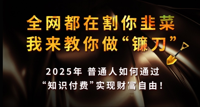 全网都在割你韭菜，我来教你做镰刀，2025年普通人如何通过 知识付费 实现财F自由【揭秘】-冒泡网