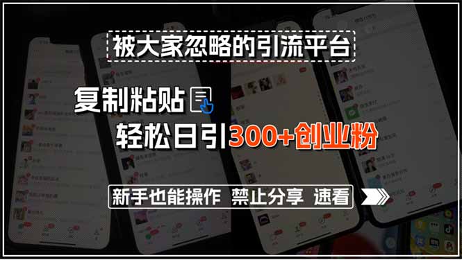 被大家忽略的引流平台，复制粘贴轻松日引300+创业粉，新手也能操作，禁…-冒泡网
