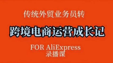 跨境电商速卖通运营课，​运营方法论+后台实操，逻辑清晰-冒泡网