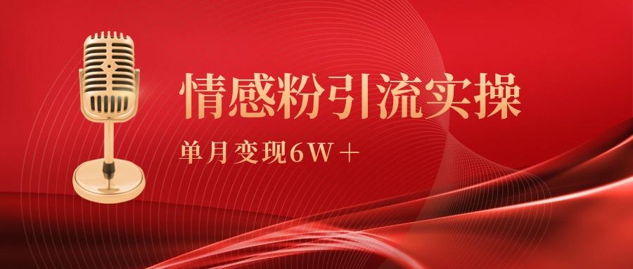 (9473期)单月变现6w+，情感粉引流变现实操课-冒泡网