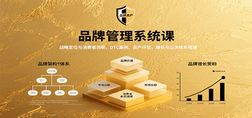 品牌管理系统课：战略定位与消费者洞察，DTC案例、资产评估，增长与公关体系搭建-冒泡网