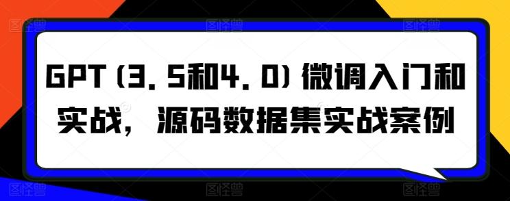 GPT(3.5和4.0)微调入门和实战，源码数据集实战案例-冒泡网