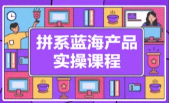 拼系冷门蓝海产品实操课程，从注册店铺到选品上架到流量维护环环相扣-冒泡网