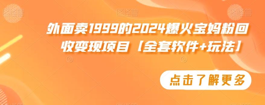 外面卖1999的2024爆火宝妈粉回收变现项目【全套软件+玩法】【揭秘】-冒泡网