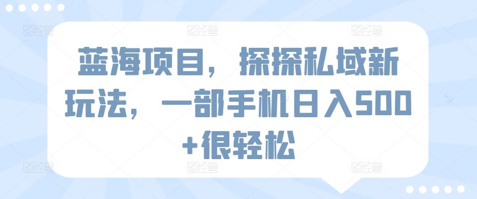 蓝海项目，探探私域新玩法，一部手机日入500+很轻松【揭秘】-冒泡网