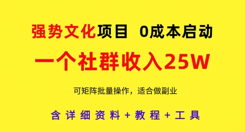 强势文化项目，一个社群收入25个W，0成本启动，可矩阵批量操作，原创详细实操教程-冒泡网