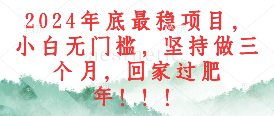2024年底最稳项目，小白无门槛，坚持做三个月，回家过肥年！！！-冒泡网