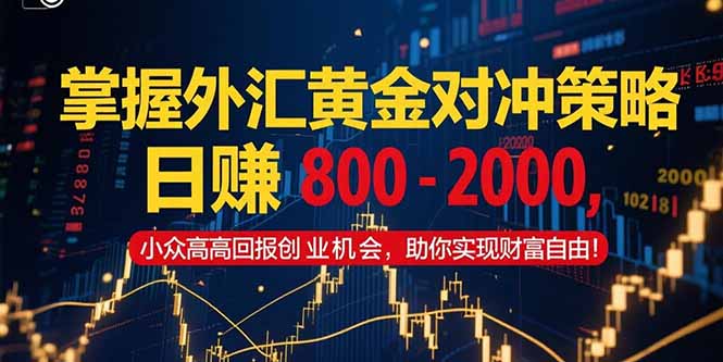 掌握外汇黄金对冲策略，日赚 800 – 2000，小众高回报创业机会，助你实…-冒泡网