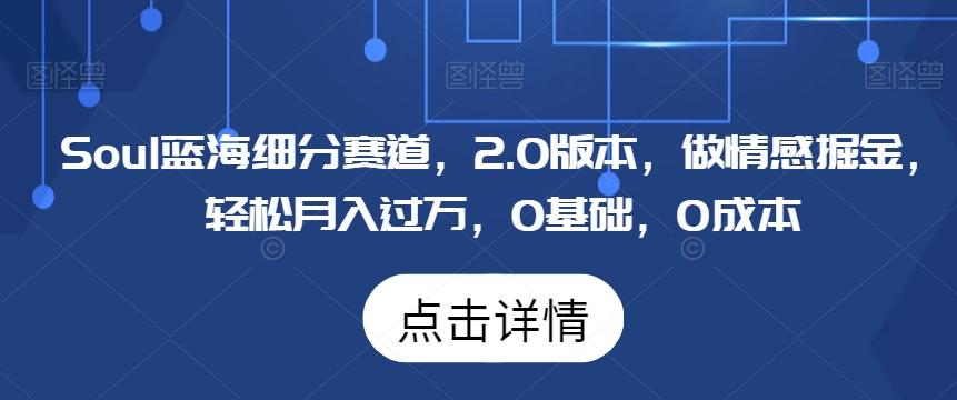 Soul蓝海细分赛道，2.0版本，做情感掘金，轻松月入过万，0基础，0成本-冒泡网