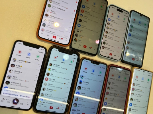 883937d69f0d429857fbcb8f13b17524.jpeg 首发揭秘小红书私域日引500+创业粉四大模板,月入过W+全程干货!没有废话!保姆教程!