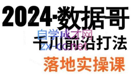 数据哥·2024年千川前沿打法落地实操课-冒泡网