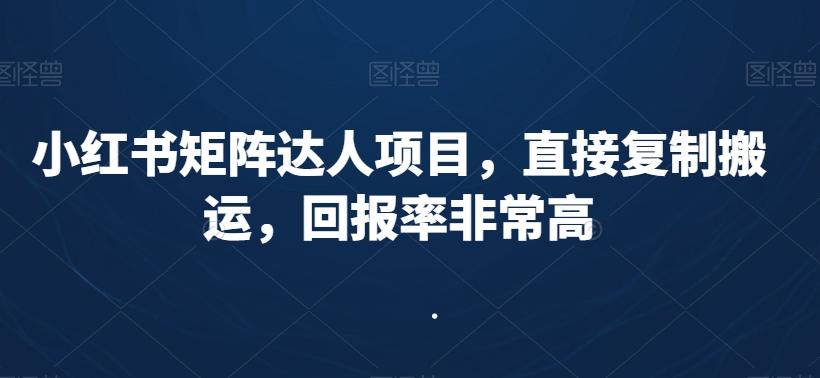 小红书矩阵达人项目，直接复制搬运，回报率非常高-冒泡网