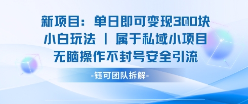 新项目单日即可变现3张的小白玩法无脑操作不封号安全引流-冒泡网