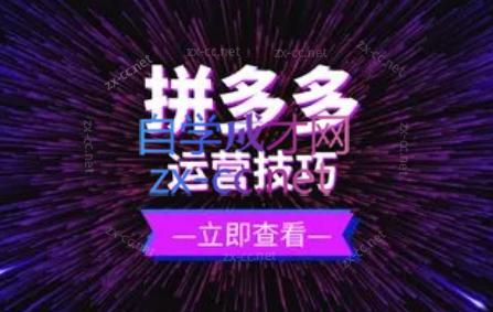 力辛电商·拼多多强付费店群玩法-冒泡网