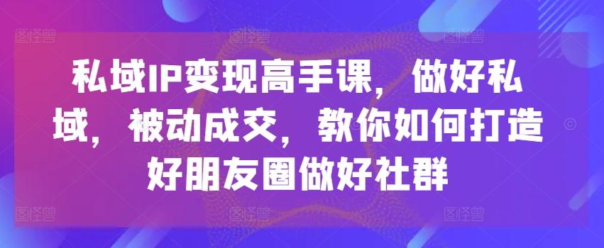 私域IP变现高手课，做好私域，被动成交，教你如何打造好朋友圈做好社群-冒泡网