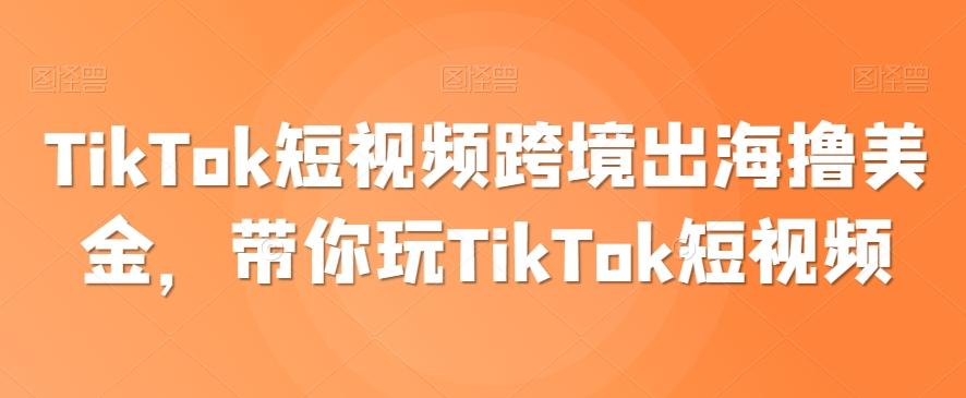 TikTok短视频跨境出海撸美金，带你玩TikTok短视频-冒泡网