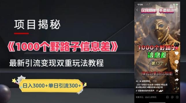 一千个野路子信息差最新玩法教程-变现+引流的玩法具体拆解【揭秘】-冒泡网