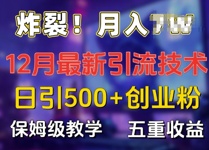 炸裂!揭秘12月最新日引流500+精准创业粉，多重收益保姆级教学-冒泡网