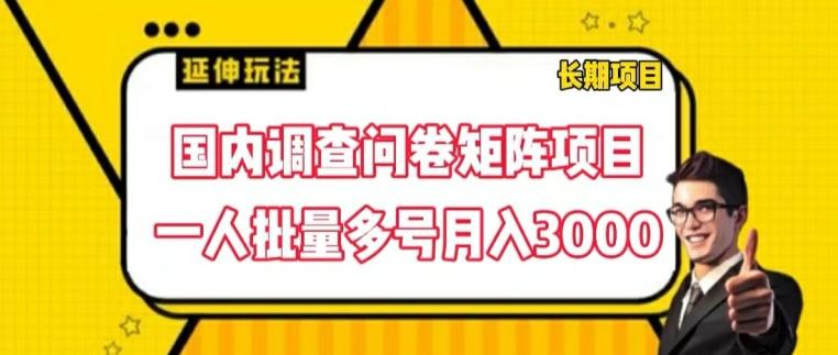 国内调查问卷矩阵项目，一人批量多号月入3000【揭秘】-冒泡网