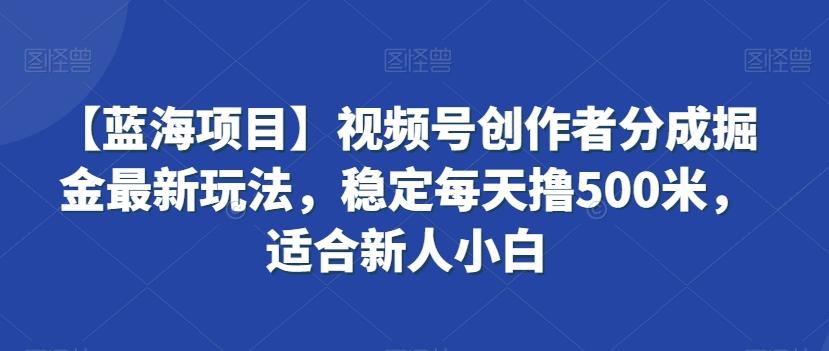 【蓝海项目】视频号创作者分成掘金最新玩法，稳定每天撸500米，适合新人小白【揭秘】-冒泡网