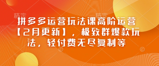 拼多多运营玩法课高阶运营【2月更新】，极致群爆款玩法，轻付费无尽复制等-冒泡网