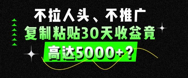 不拉人头、不推广，复制粘贴30天收益竟高达5000+？-冒泡网