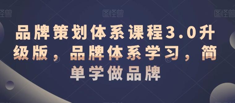品牌策划体系课程3.0升级版，品牌体系学习，简单学做品牌-冒泡网