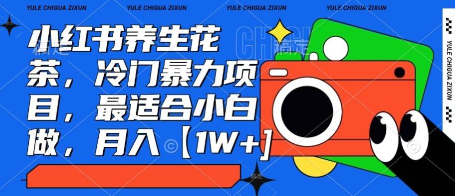 小红书养生花茶，冷门暴力项目，最适合小白做，月入【1W+】-冒泡网