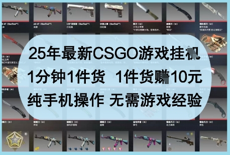 25年最新CSGO游戏挂G，1分钟1件货，1件货挣10元，纯手机操作，无需游戏经验【揭秘】-冒泡网