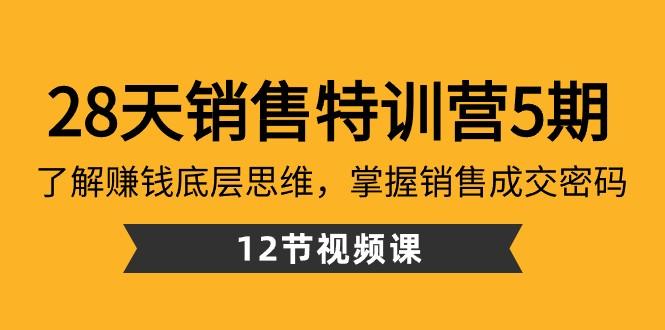 28天销售特训营5期：了解赚钱底层思维，掌握销售成交密码（12节课）-冒泡网
