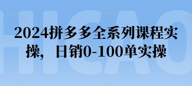 2024拼多多全系列课程实操，日销0-100单实操【必看】-冒泡网