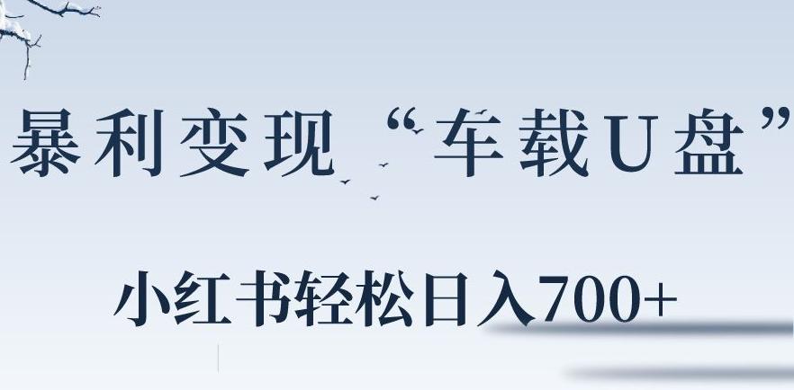 小红书“车载U盘”暴利引流，日入700+-冒泡网