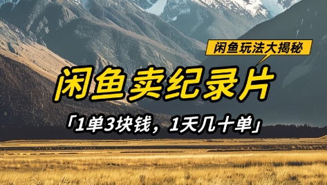 闲鱼卖纪录片1单3块钱，1天几十单，项目稳定有潜力-冒泡网