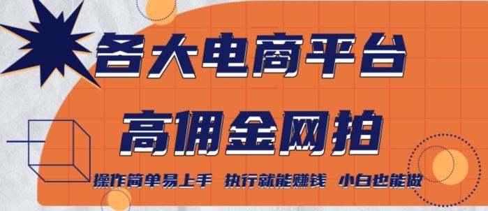 各大电商平台高佣金网拍，操作简单易上手，执行就能赚钱，小白也能做-冒泡网