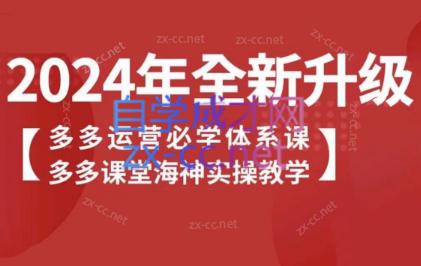 海神老师·拼多多运营必学体系课-冒泡网