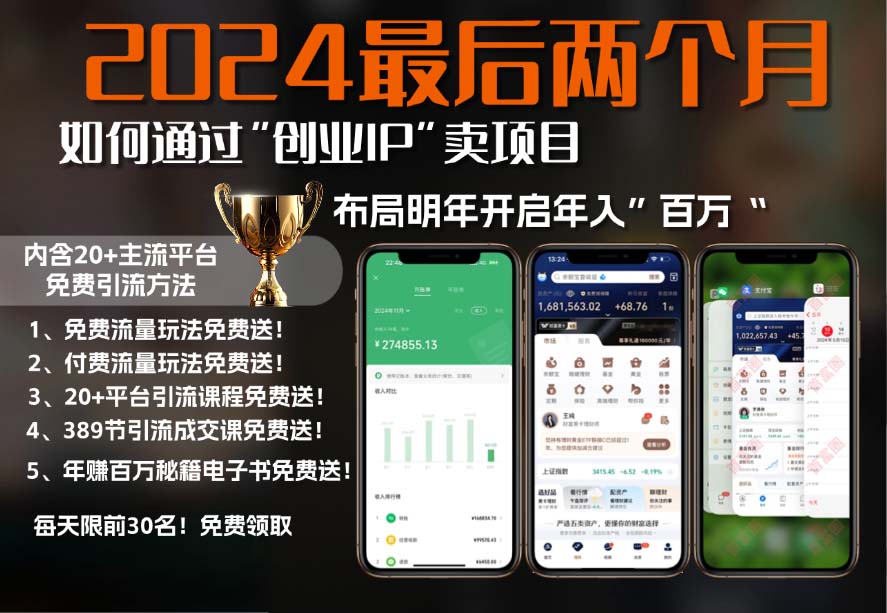 2024最后两个月如何通过”创业IP“卖项目年入”百万“,创业IP+最强引流…-冒泡网