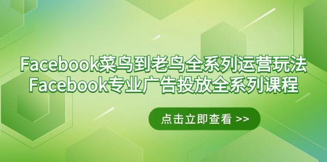 Facebook-菜鸟到老鸟全系列运营玩法+Facebook-专业广告投放全系列课程-冒泡网