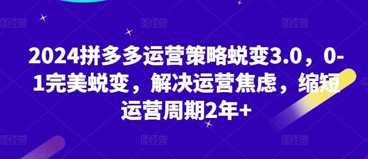 2024拼多多运营策略蜕变3.0，0-1完美蜕变，解决运营焦虑，缩短运营周期2年+-冒泡网