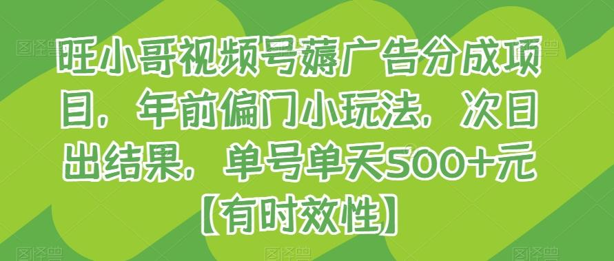 旺小哥视频号薅广告分成项目，年前偏门小玩法，次日出结果，单号单天500+元【有时效性】-冒泡网