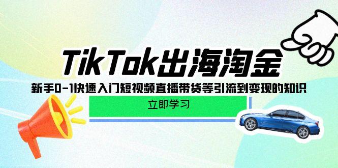 (10035期)TikTok-出海淘金，新手0-1快速入门短视频直播带货等引流到变现的知识-冒泡网
